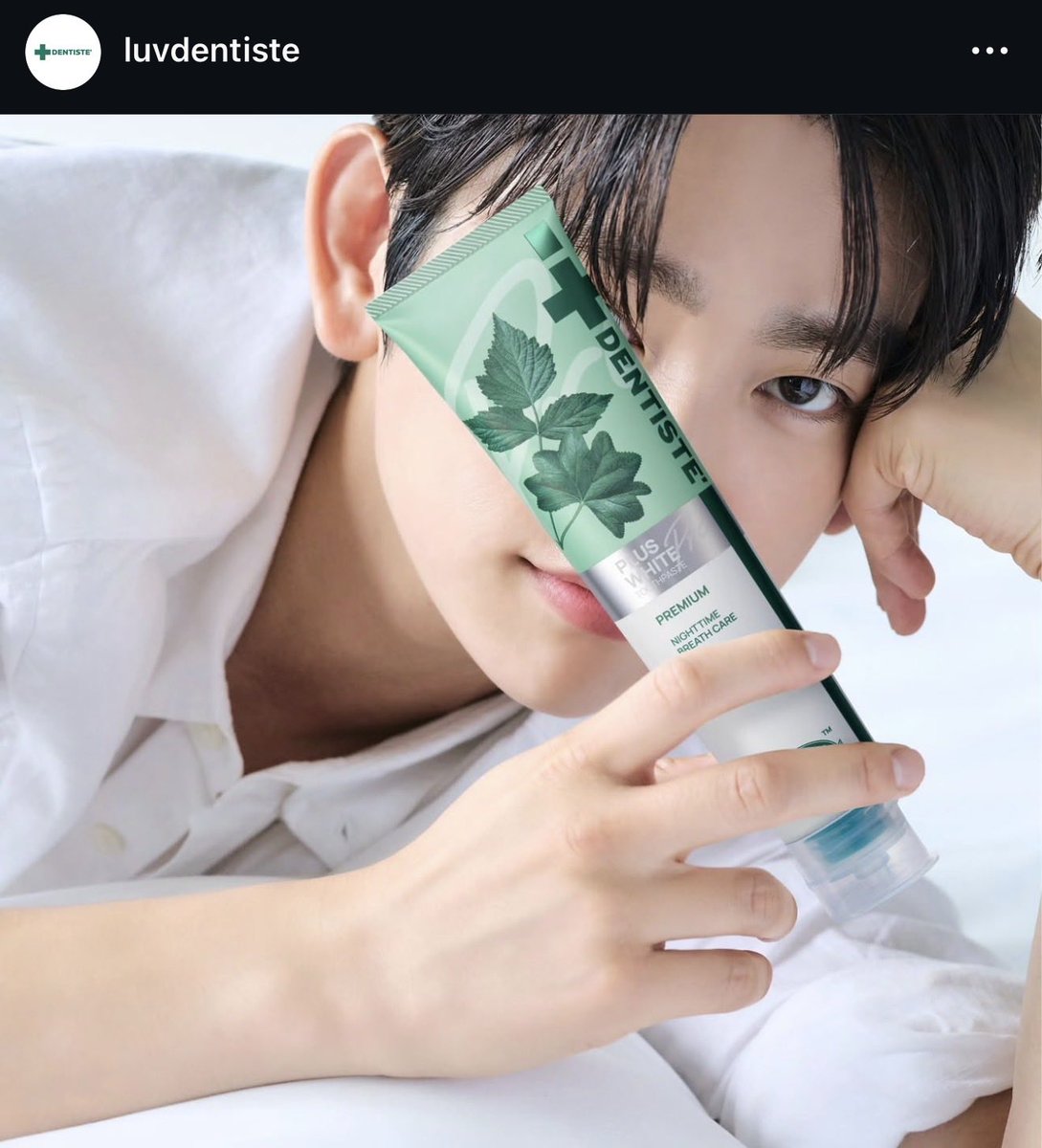 ꉂ( ˃ᴗ˂ )ᵎᵎᵎ 작은 진영 ㅍㅅㅍ *･˚✿꙳. യ• tweet media