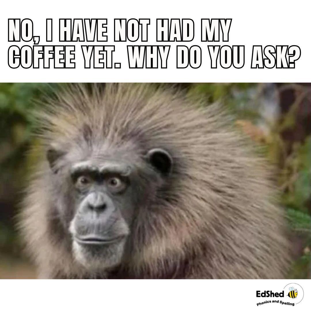 ☕😅😆

#teacherthings #teachermemes #teachers #educators