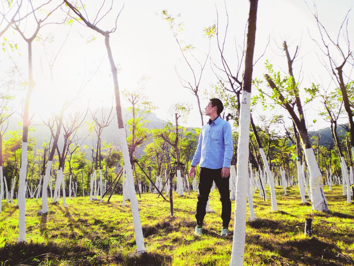 SesmasTree's tweet image. Long-Term Tree Care Plans: Keeping Your Landscape Healthy for Years

Trees are not just magnificent entities that add beauty to our landscapes, but also improve the overall quality of life. While mature trees can live for many years, they require ...

sesmastreeservice.com/long-term-tree…