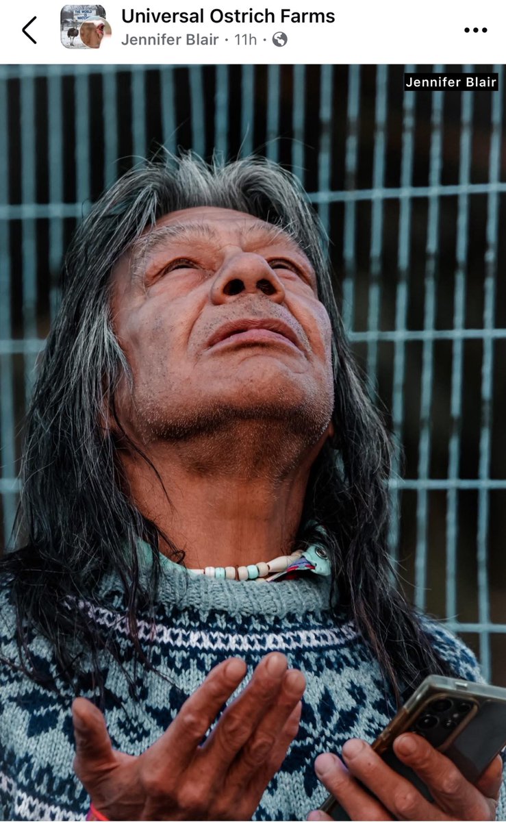 DreaHumphrey's tweet photo. OSTRICH FARM NEWS:

Great photo of farm supporter, who goes by Chief White Buffalo, praying for the flock to be spared. https://t.co/crttDuIHLz