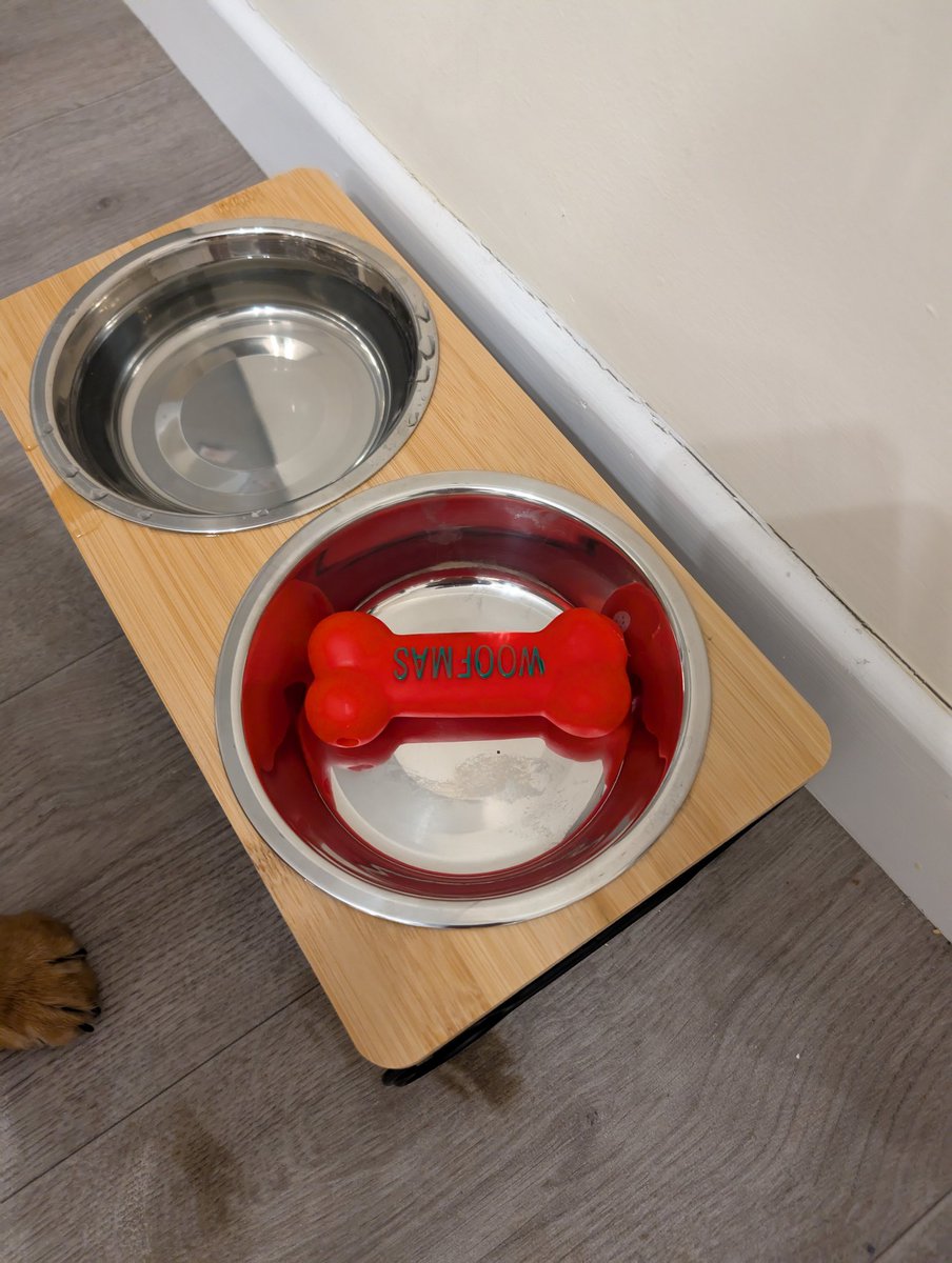 Postsbydan's tweet image. Think the puppy is trying to tell us something.