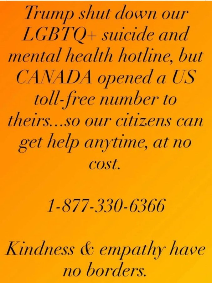 BlueDogsWin 🌊🪷🐝💛 tweet media