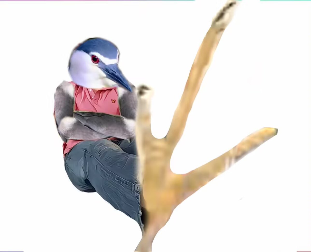 魔法少年烨二狗 tweet media