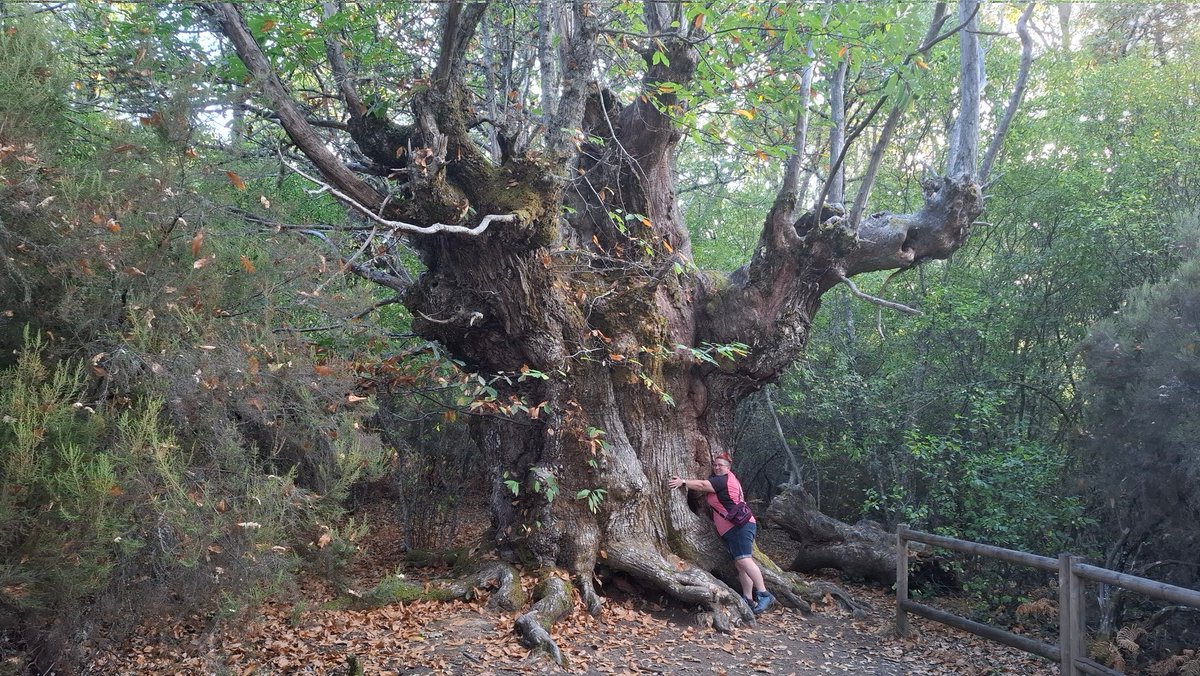 yolanda barbero baez tweet media