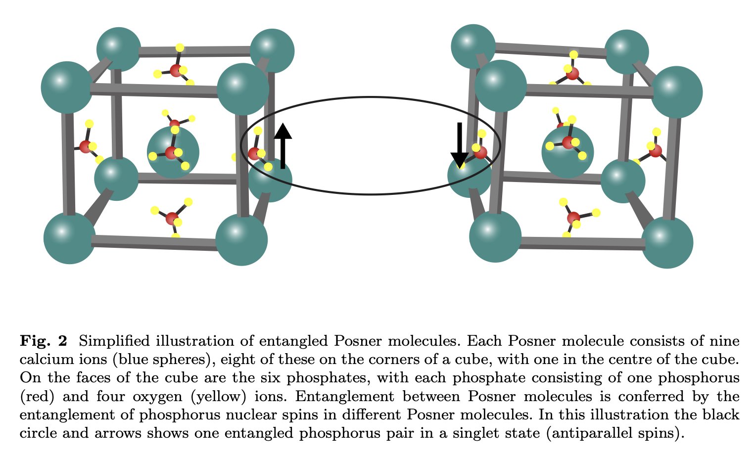 高三 和晃 / Kazuaki Takasan (@takasan_san_san) / X