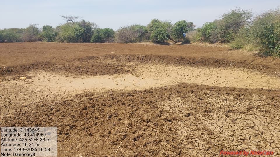 SAWDA_ORG's tweet photo. Drought has severely hit Baidoa &amp; Bardale, drying up key water catchments and limiting access for people &amp; livestock.

With @FAO &amp; funding from #CERF, #SAWDA is restoring catchments to ensure reliable, safe water and strengthen drought resilience.

#ClimateAction #Resilience https://t.co/UiCmMpariR