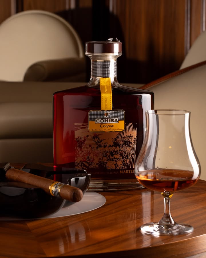 aficionadohub's tweet image. 💨 + 🥃 = 💯
Cohiba in hand, Martell in glass. Some pairings just make the week worth it.