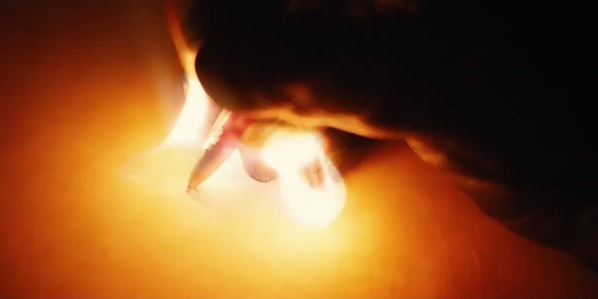 Nelipe xd tweet media