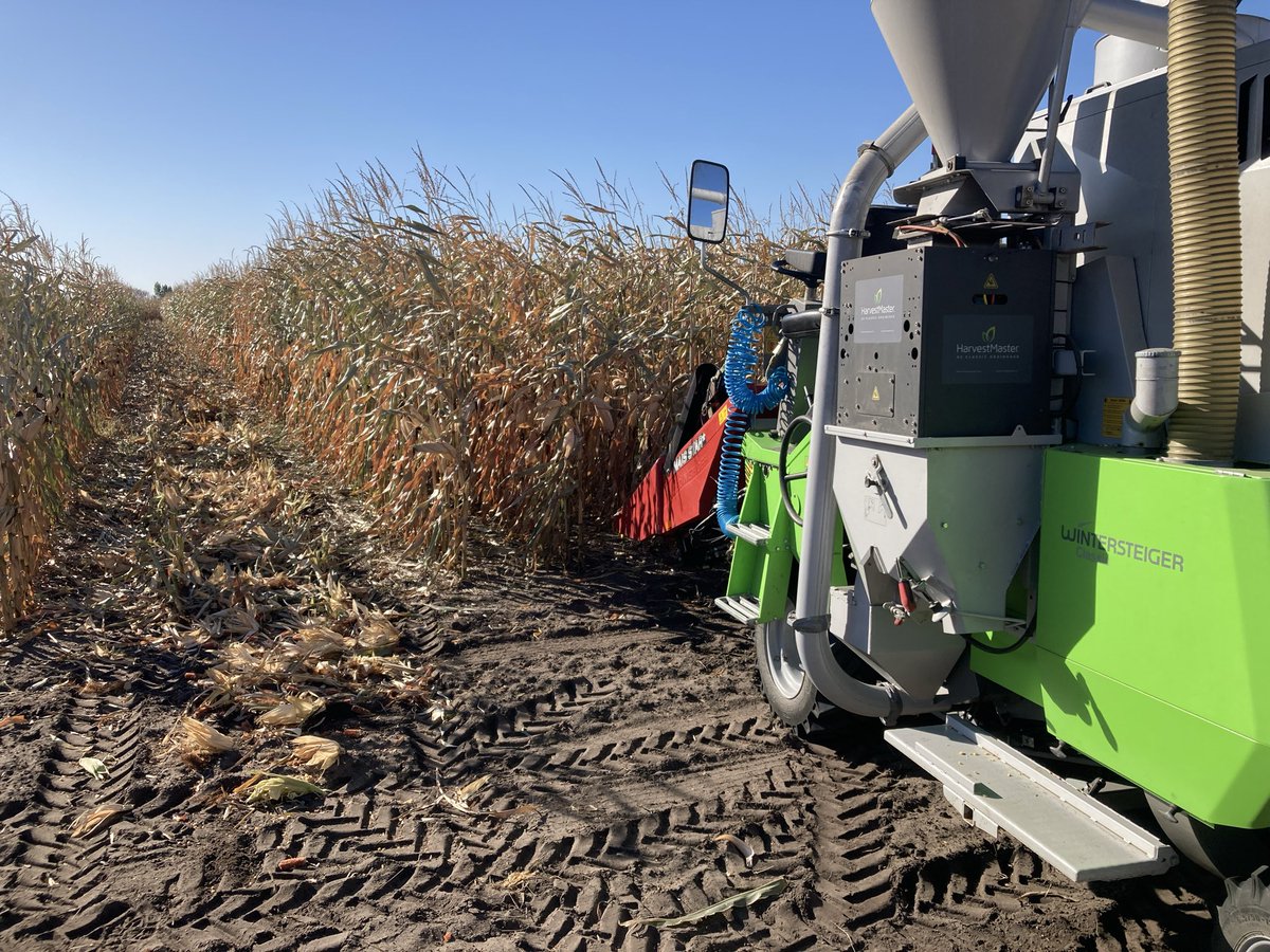 Scott Chalmers tweet media