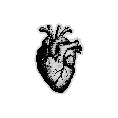 ⚚ ‍𝑺𝗔𝗡𝗧𝗢𝗦. tweet media