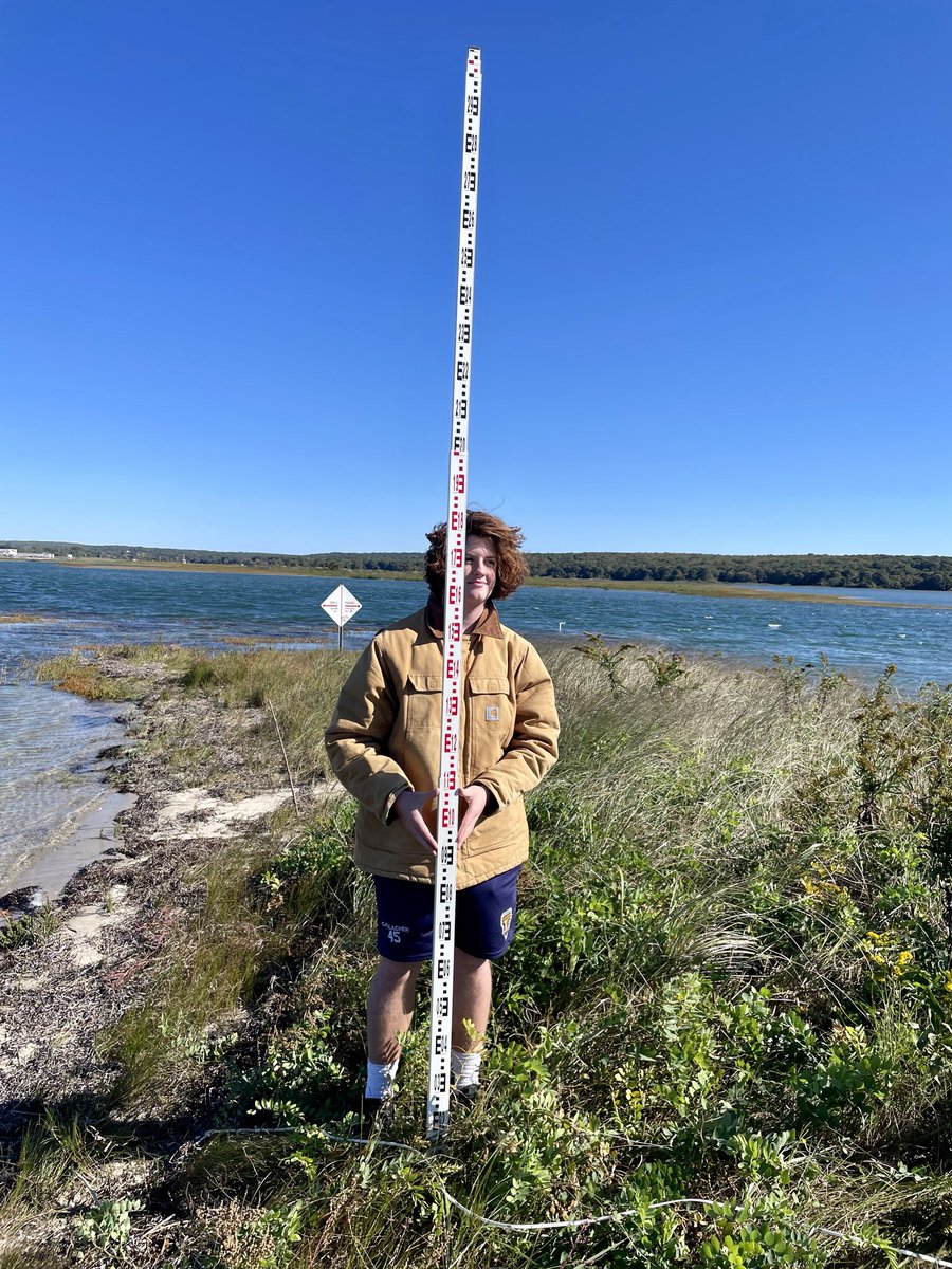 DBednarzLHS's tweet photo. LHS - Uconn ECE marine science at Bushy Point Beach. Topography and plant cover on the docket. This study is in its 15th year, amazing changes since Superstorm Sandy wiped the beach out about 13 years this month. https://t.co/27zA5kkHUL