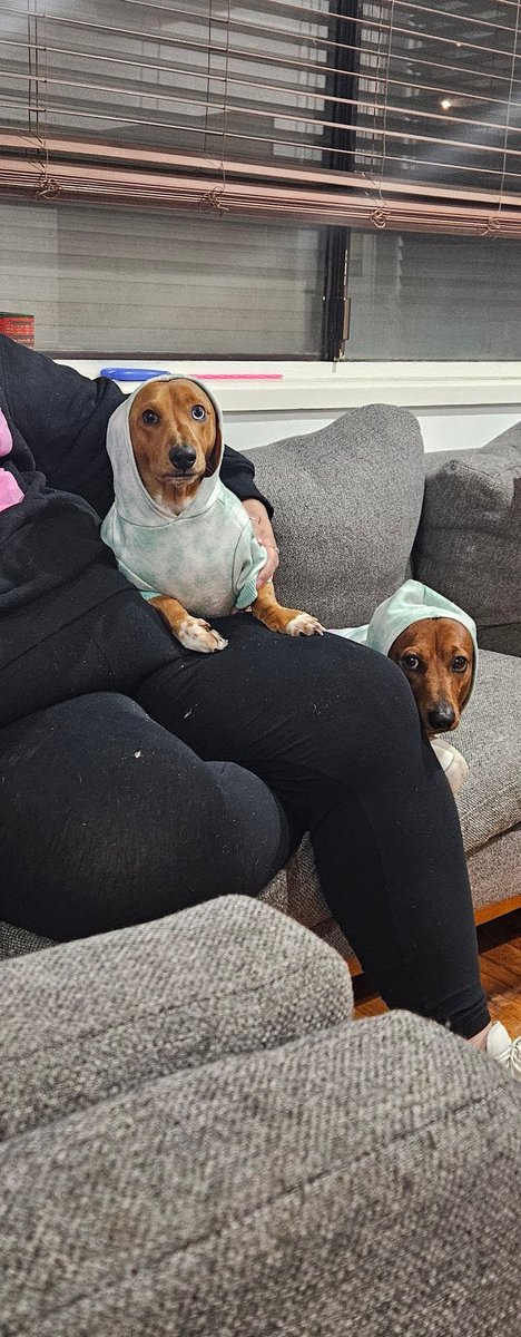 MarkLusco tweet media