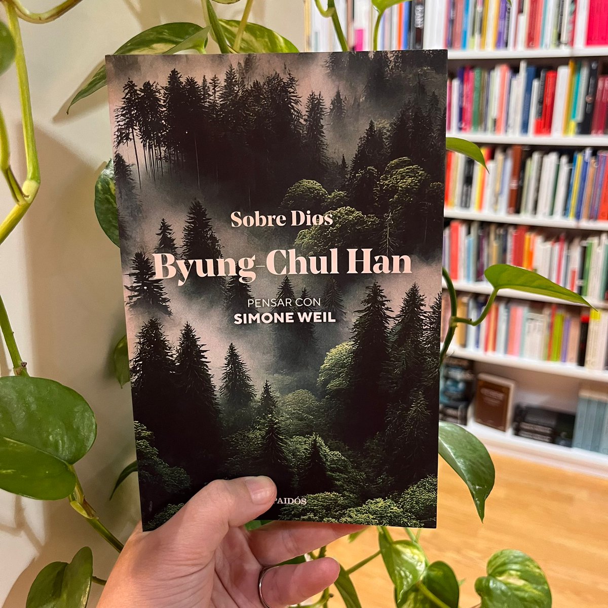 En su nuevo libro Han encuentra en Simone Weil una interlocutora espiritual e intelectual. Y a partir de siete nociones clave ( atención, silencio, belleza, vacío...) nos invita a ir más allá de la inmanencia de la producción y el consumo <a href="/EdicionesPaidos/">Ediciones Paidós</a>
metalibreria.com/producto/sobre…
