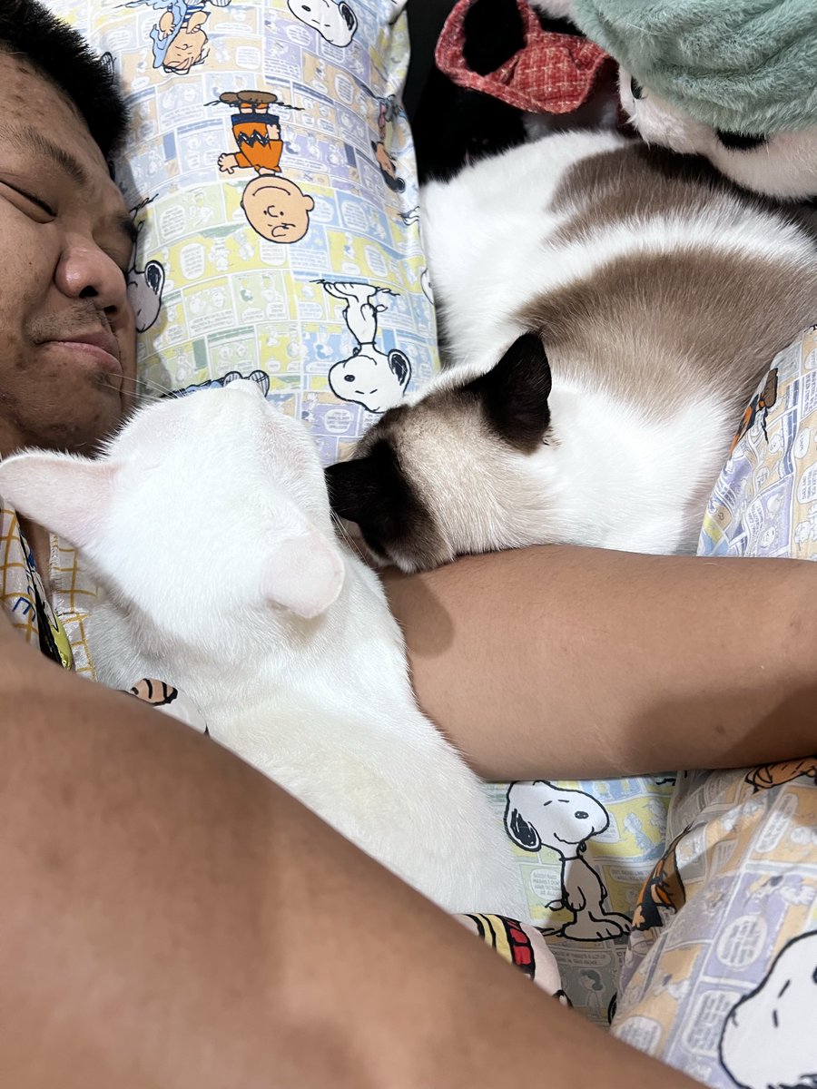 phiyachat28's tweet photo. ปะป๊าแมวท่านนึง...
.
.
#แมวบ้านเพชรนิลจินดา #พี่เพชรแมวเหลือง #จินดาแมวด่าง #จินดาแมวมีม https://t.co/eZ4SVOrWUn