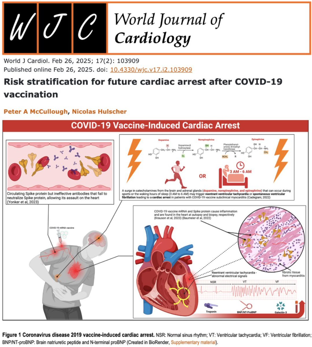 simon_troupe's tweet image. Paul Farmer, Global Health Visionary&apos;s death by an ACUTE Cardiac Event

Dr. Paul Farmer was born on October 26, 1959, and died on February 21, 2022, at the age of 62. His cause of death was an acute cardiac event that occurred while he was sleeping.

In unexplained deaths in…