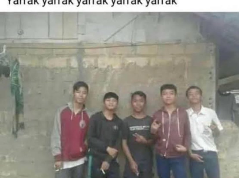 yaz diyenler lavuk şunlara benziyo aq ya bi sg bana da mı doğal seçilim desinler