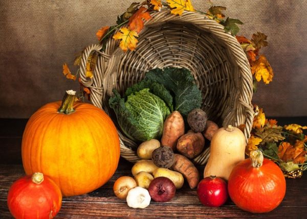StJamesEnfHwy's tweet photo. The Highway Weekly | Trinity 17 edition - https://t.co/rf0AKp8FzQ - The very latest from St James's, including our Harvest Supper on Saturday plus our Harvest Festival service on Sunday morning! https://t.co/tjKdOJi0Xk