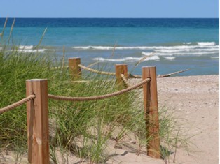 Point Farms PP tweet media