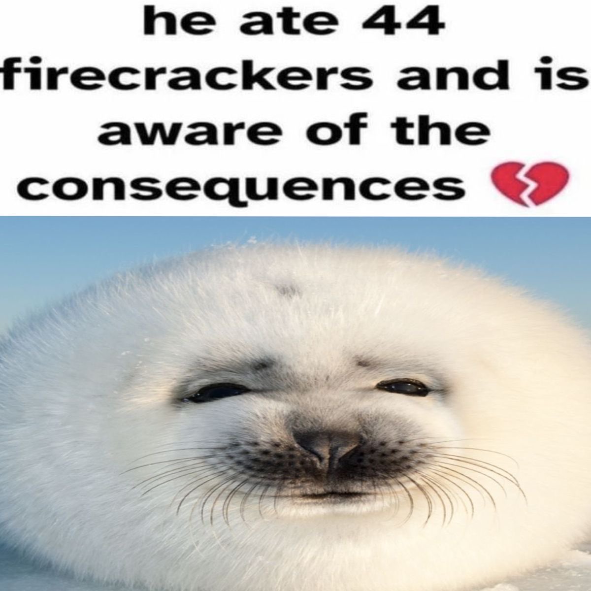 mossyseals's tweet image. feeling like this rn