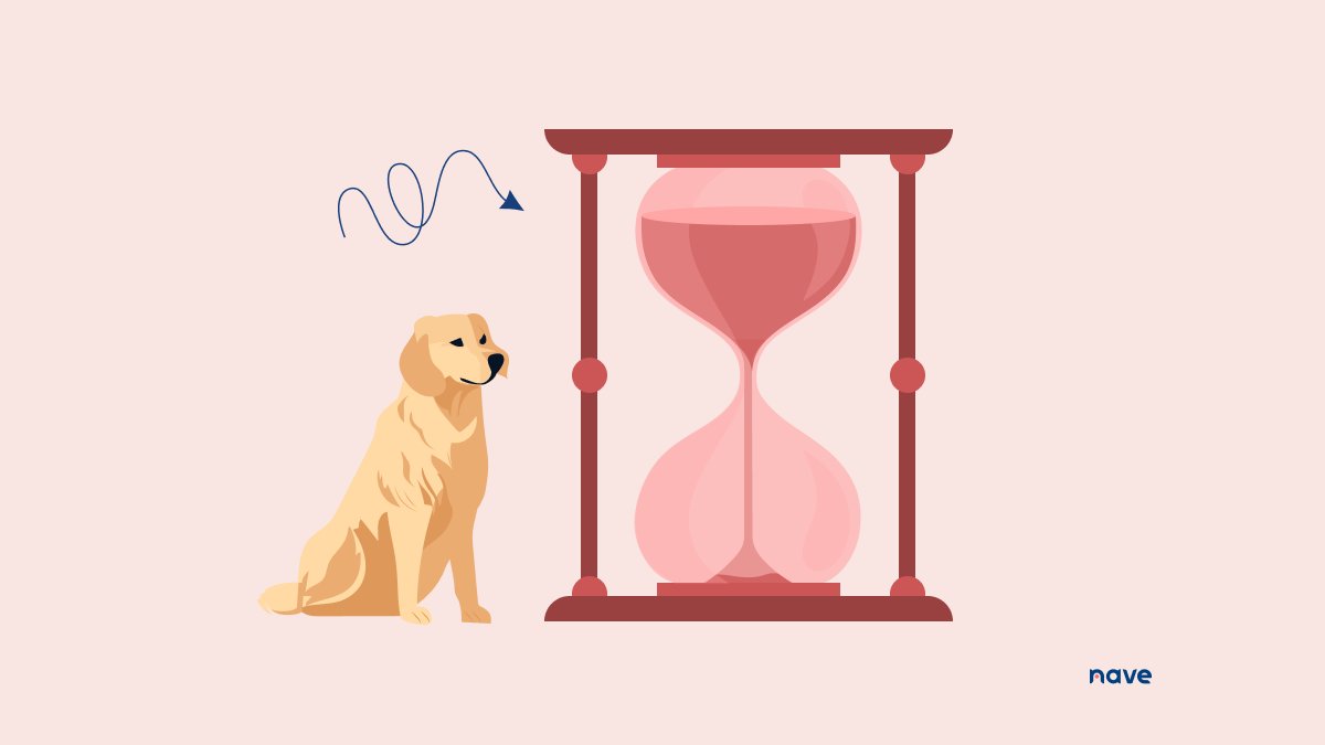 NaveHQ's tweet image. How to reveal the immediate impact implementing WIP limits brings about → getnave.co/4793tFf

#NavigateYourFlow #Kanban #ContinuousImprovement #AgileCoach #AgileLeadership
