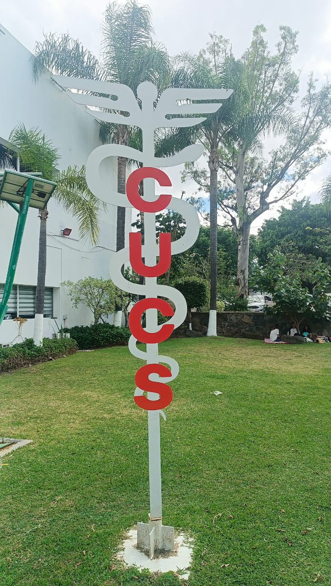 ✨ ¡Salud con Orgullo llegó al CUCS! ✨

La Defensoría de los Derechos Universitarios, en colaboración con Diverso UdeG y AHF México, llevó a cabo una jornada de salud dirigida a la comunidad universitaria diversa en el Centro Universitario de Ciencias de la Salud.