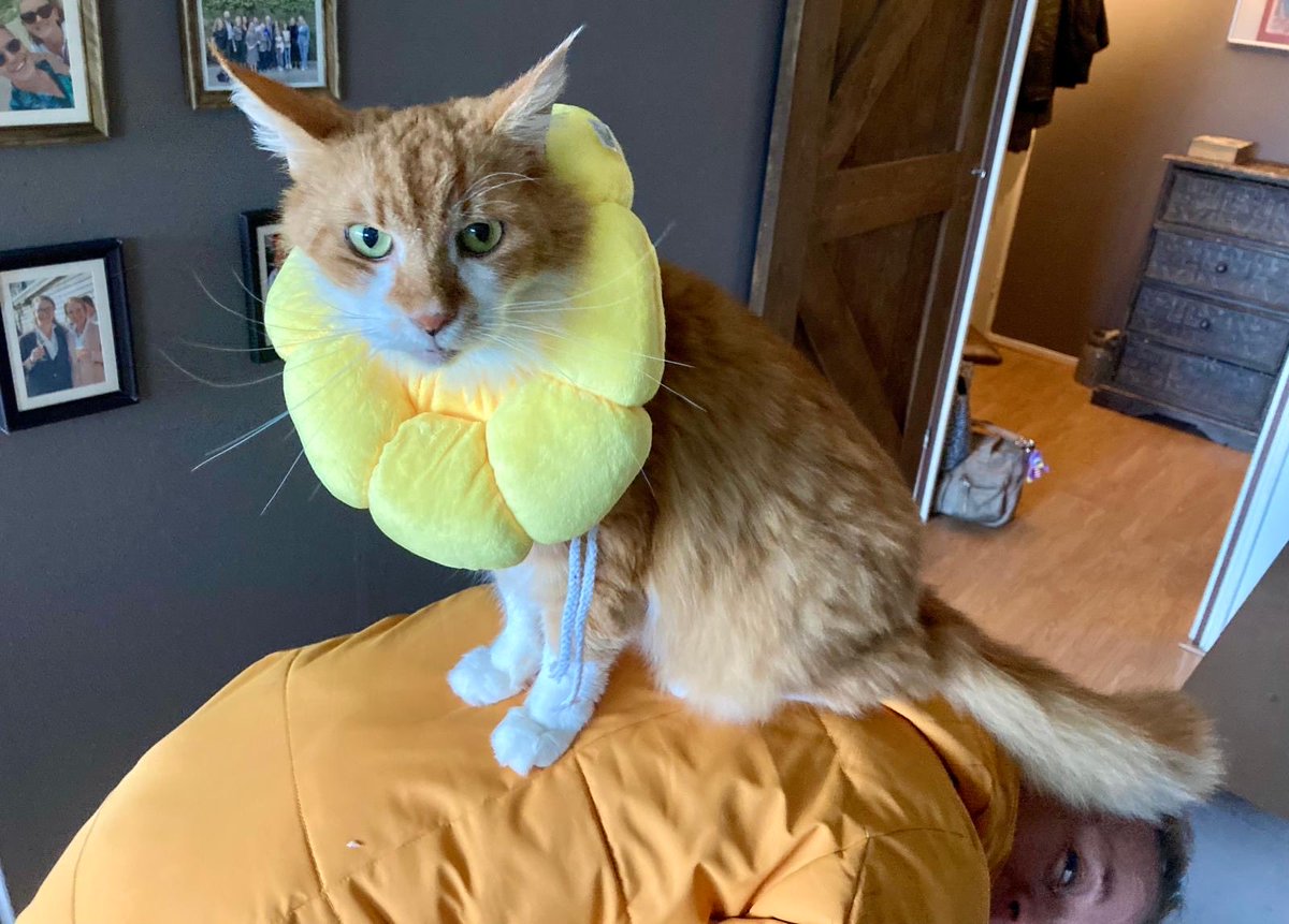 Geel is mijn lievelingskleur. Ik kreeg dit vanwege m’n gekrabbel… nu dus eigenlijk niet meer nodig, maar mocht hem wel even aan. Trots als een pauw!