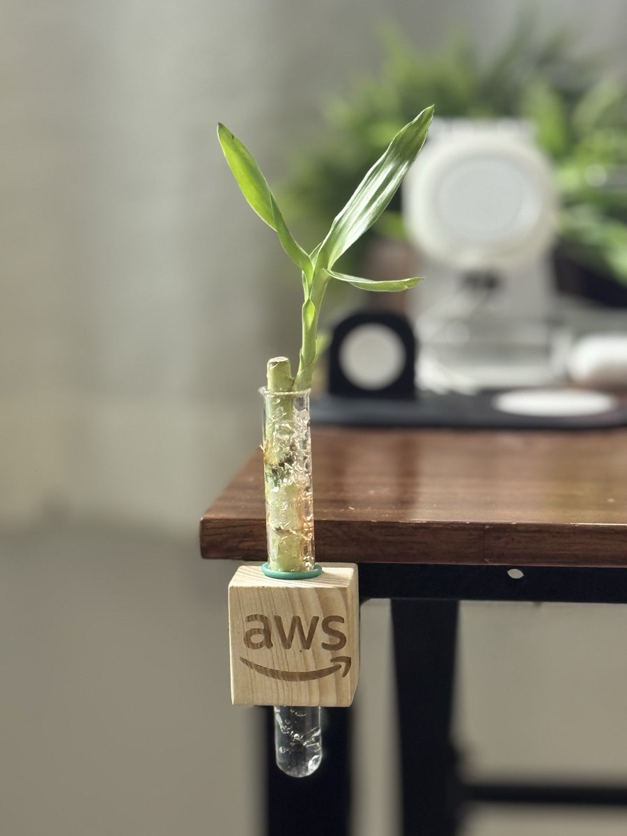 amirtaraj's tweet image. 🚀 Wrapping up #Techtember &amp;amp; #Techtober with amazing #AI &amp;amp; #AWS moments!
🏆 TEKsystems AI Hackathon for “Smart Inventory Matching”
🎓 AWS AI Practitioner certification 
🤝 Leadership visit – showcased GitHub Copilot &amp;amp; AXI chatbot
💡 Attended AWS Data &amp;amp; AI Day 2025, Bengaluru