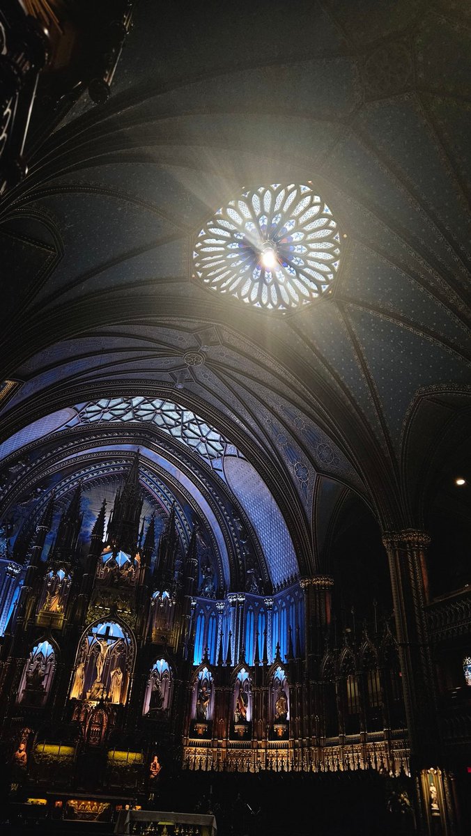 몬트리올에왔음
노트르담의 똘추