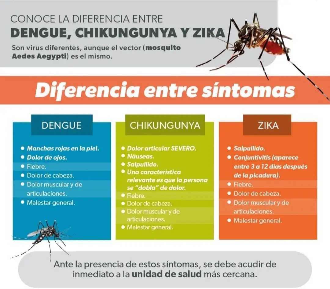 DPolanco3520's tweet photo. Siempre alerta .. https://t.co/9HvY3DNaf5
