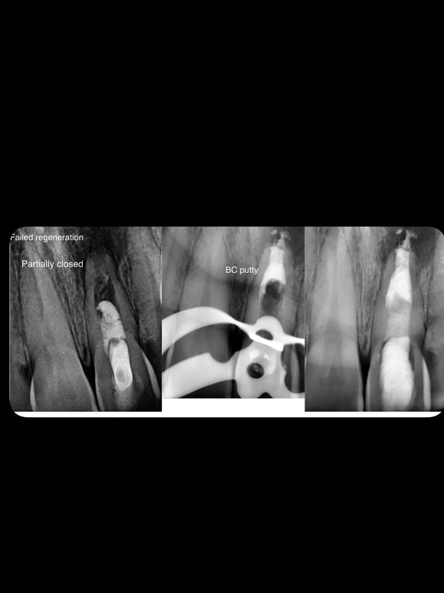 ذعار القحطاني tweet media