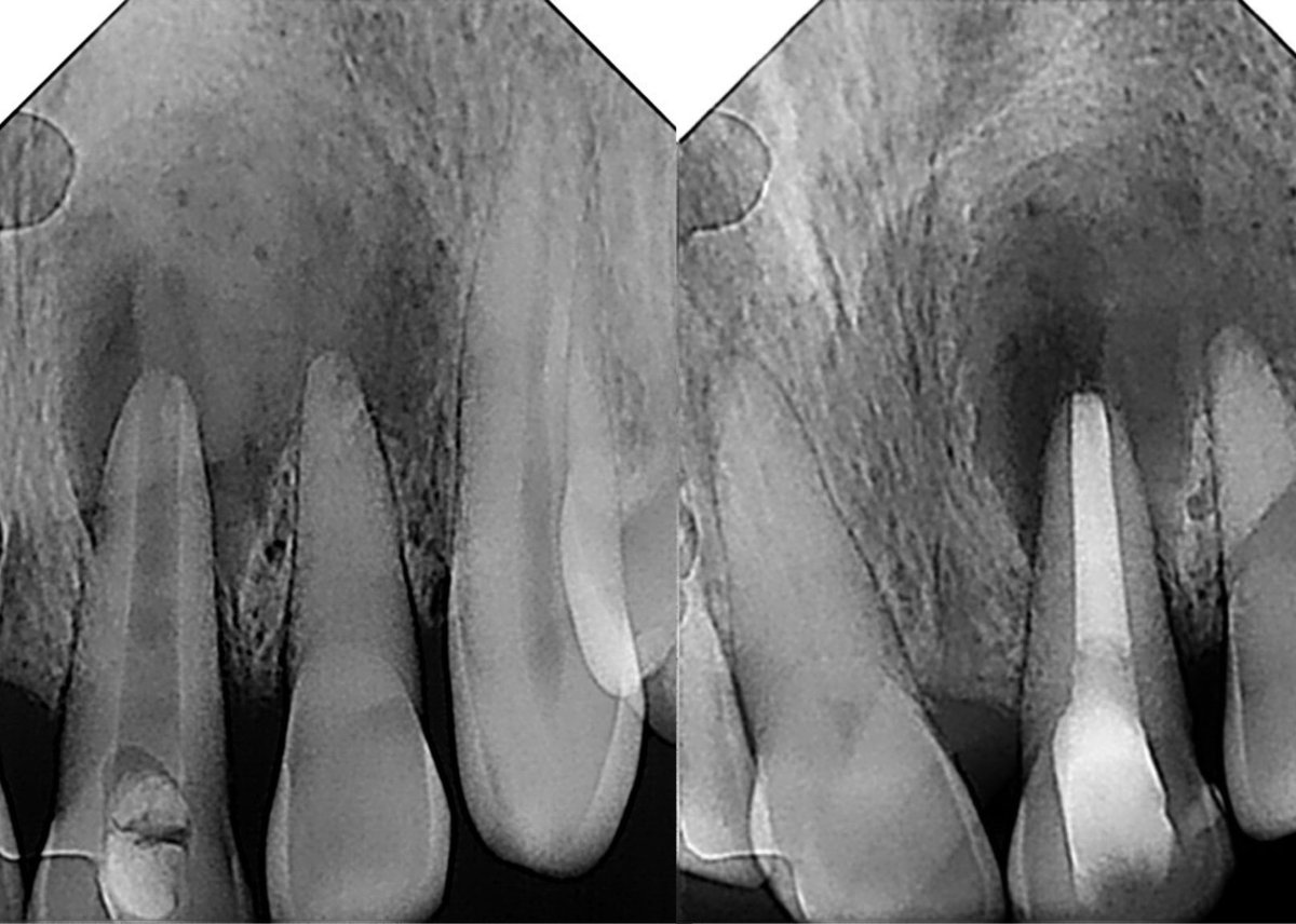 ذعار القحطاني tweet media