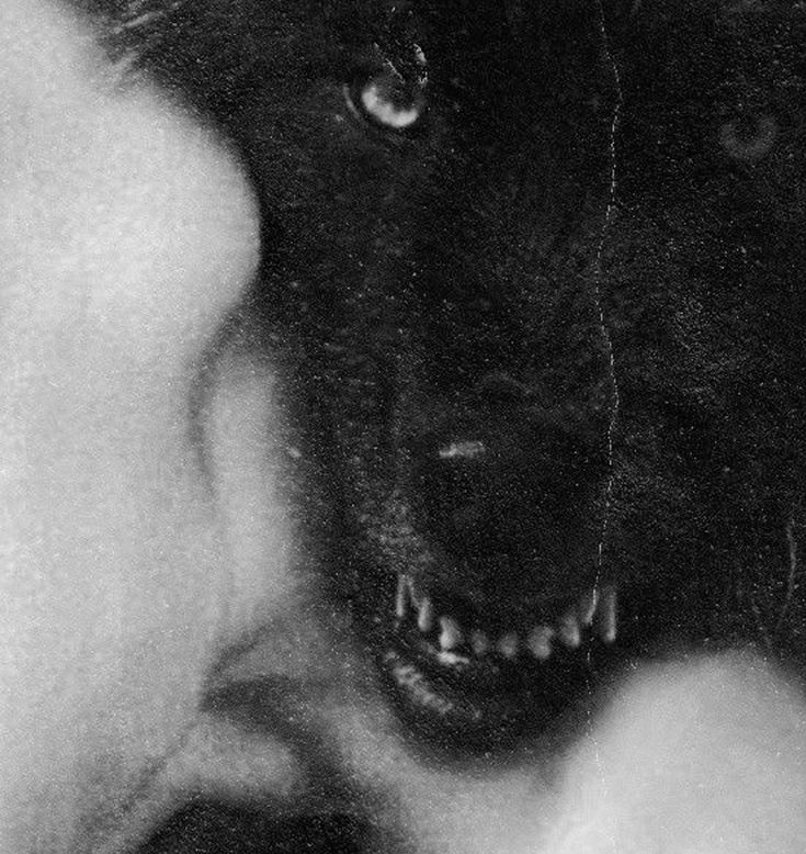 — не отводи взгляда.