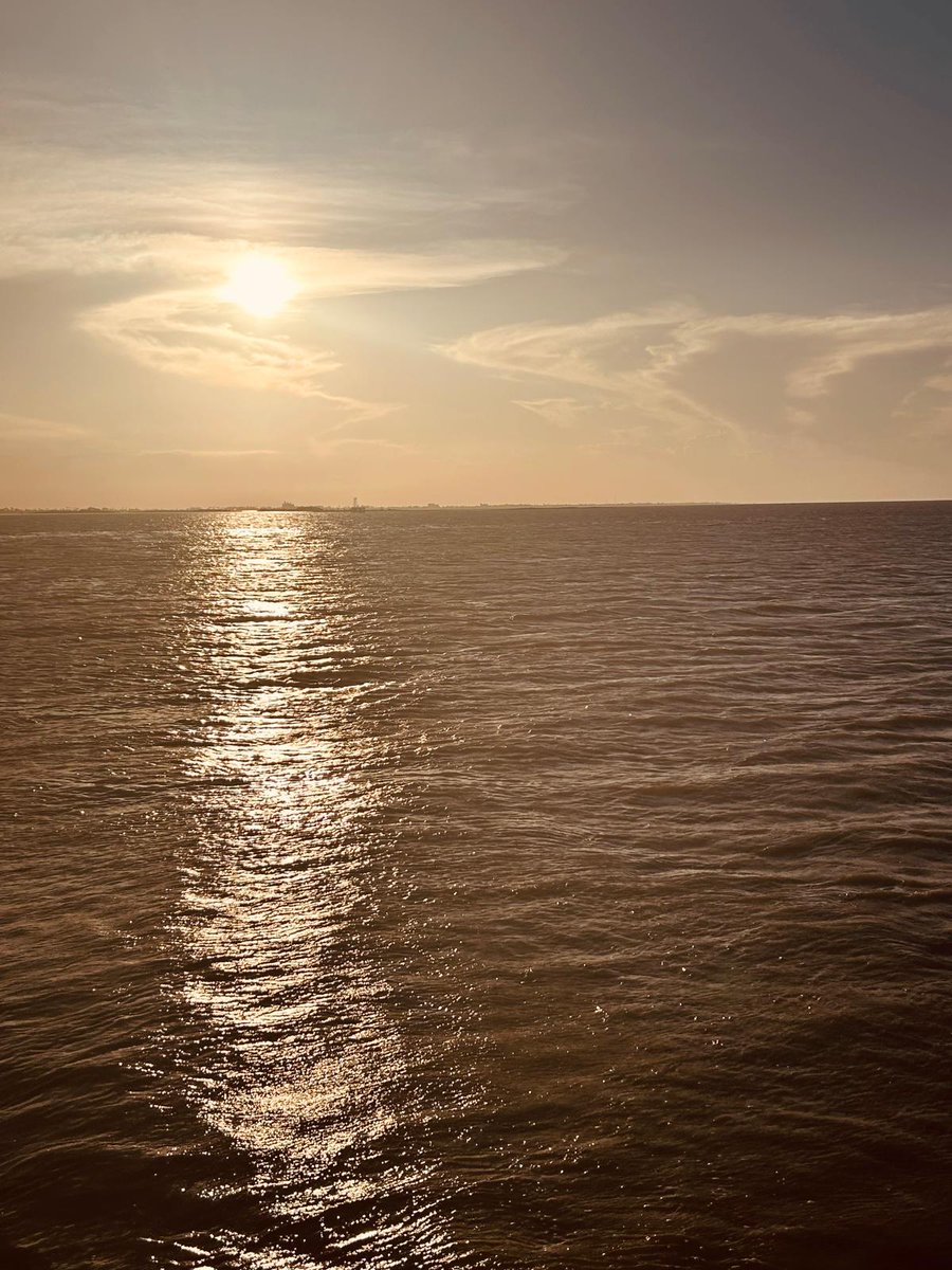 MaríaAmparoTORTOSA-GARRIGOS (@maamparotortosa) on Twitter photo 