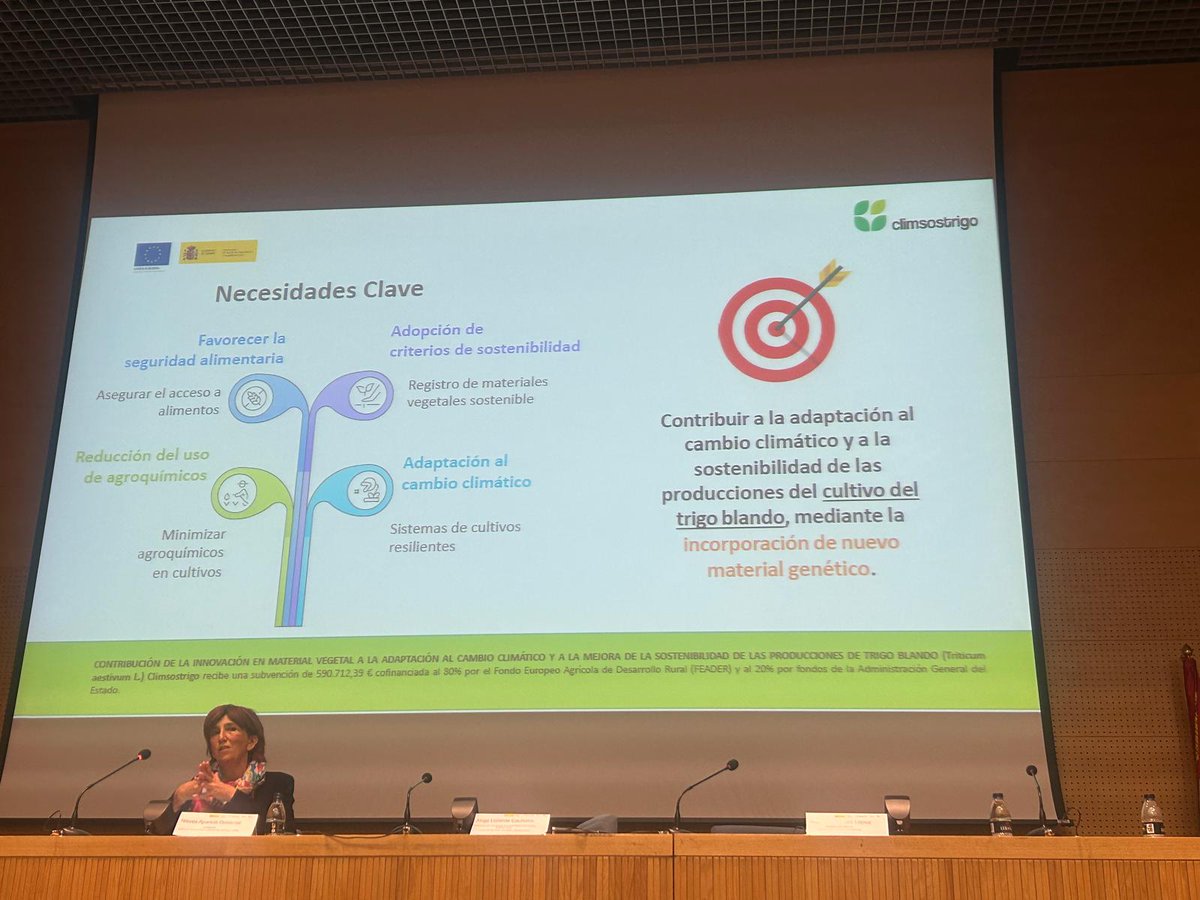 aparicionieves3's tweet image. Presentando los objetivos y resultados del #GO @climsostrigo, en la I Jornada de transferencia externa de @GENVCE, en que el @ITACYL colabora en la realización de ensayos en #trigoblando.
🎯 Variedades más #sostenibles y #tolerantes a estreses #bioticos y #abioticos.
👉FEADER