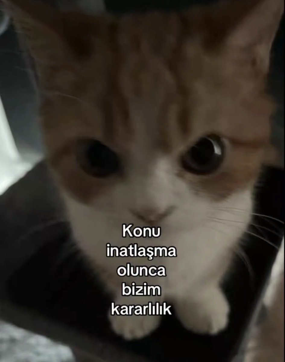 erz🫧 (@liferacerza) on Twitter photo 