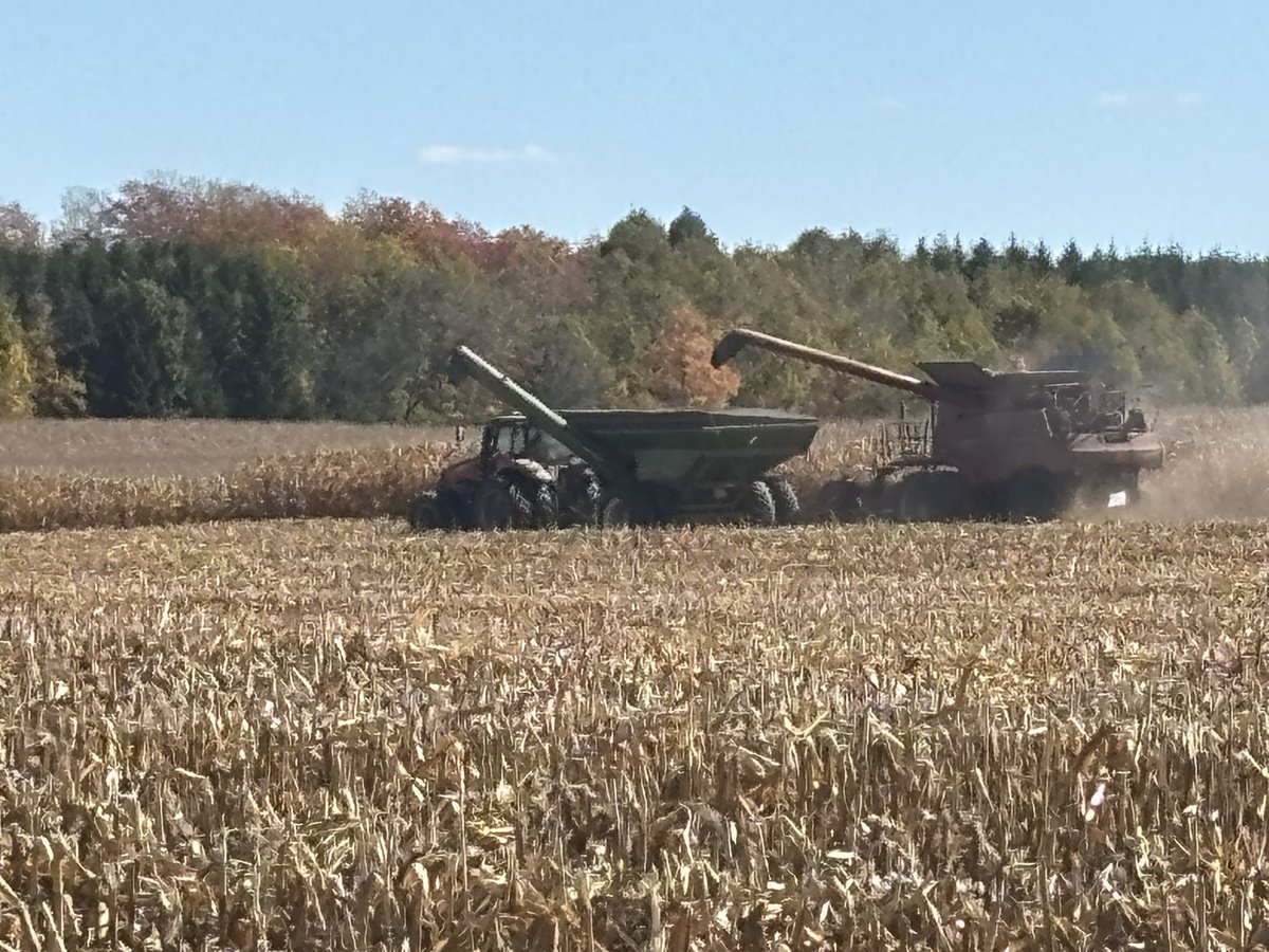 mike denys tweet media