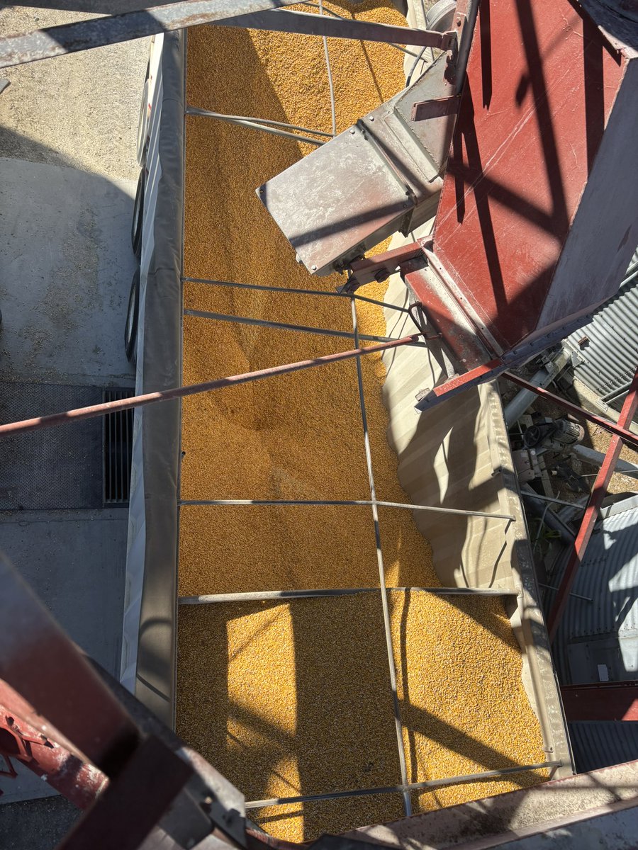 mike denys tweet media