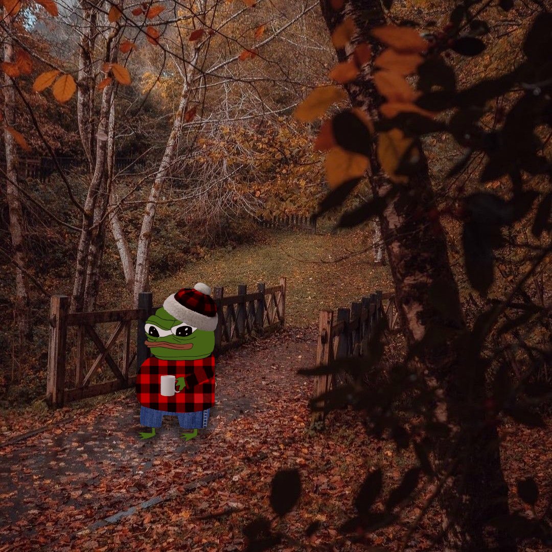 Apu takes a cozy walk🍂🤎