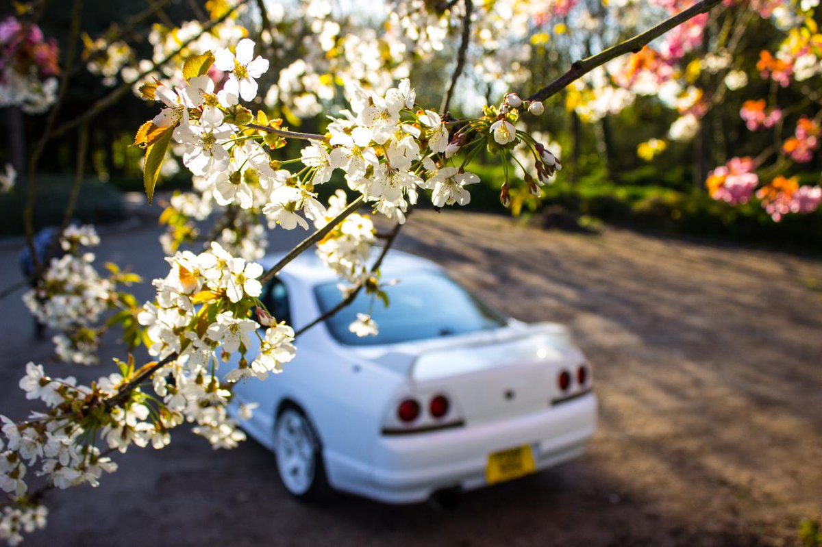 I used to be abit artsy back when i had a DLSR and a Skyline lol This is around 2017