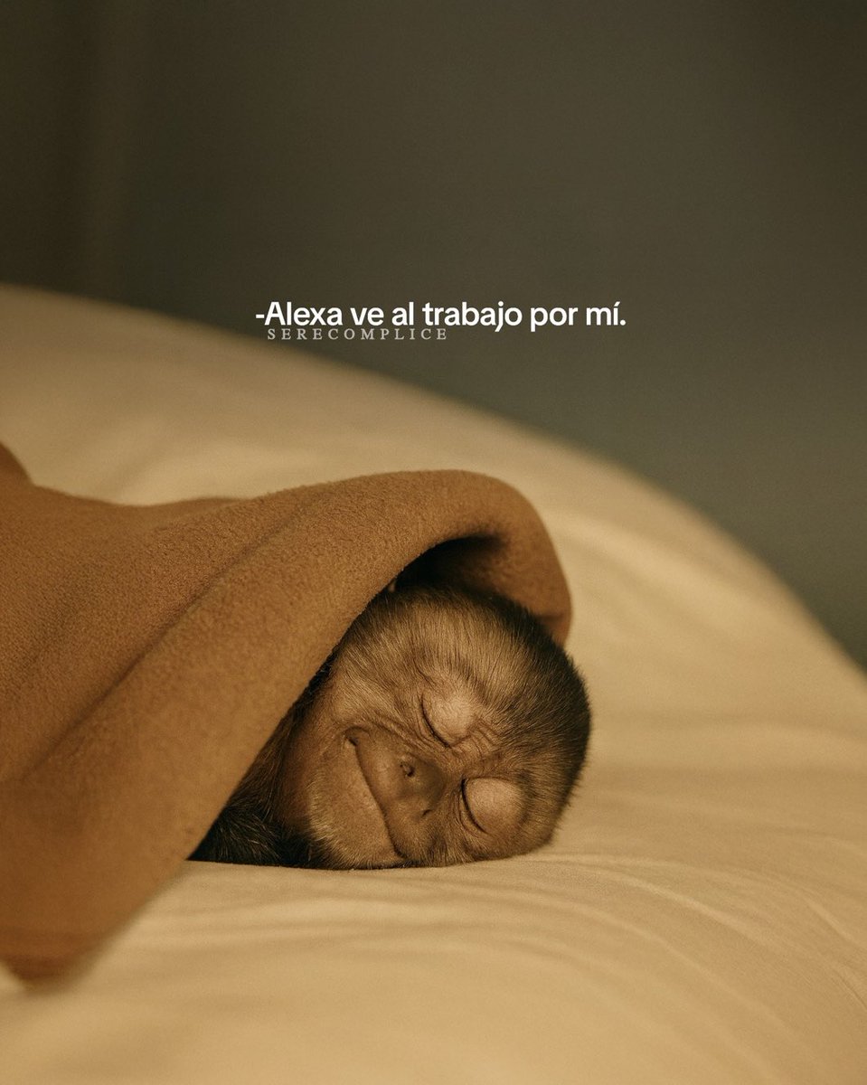 Noe Bautista tweet media