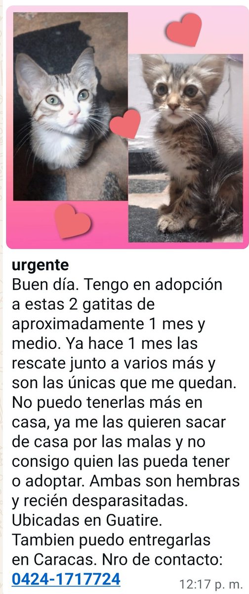 Adopta. Salva una vida. Cambia un destino.