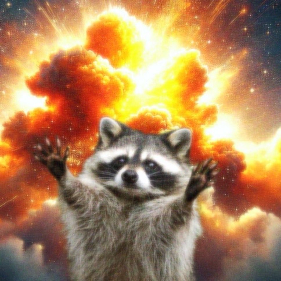 everyone who replies and likes this tweet will receive a surprise in their DMs 

🦝🦝
