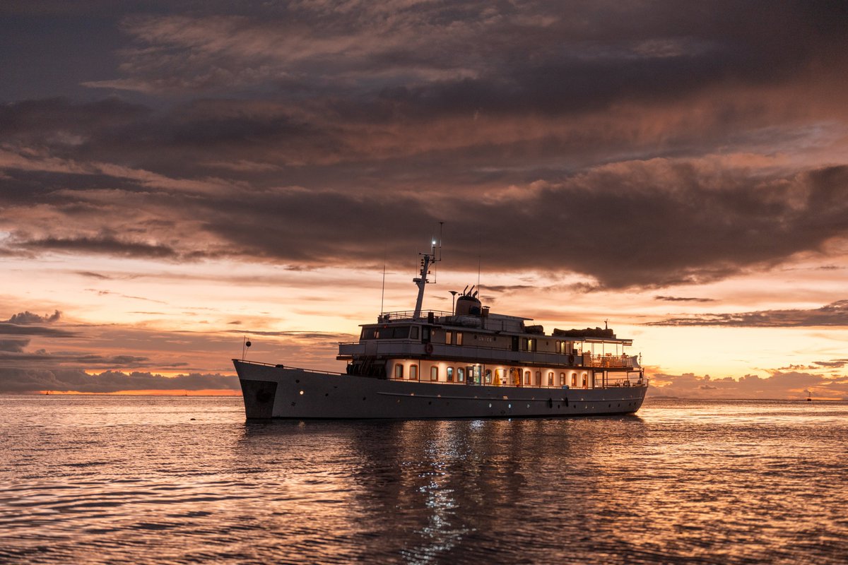 Quasar Expeditions tweet media