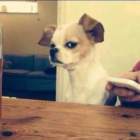 alimooon0's tweet image. same vibes

Design your mind
#LoveDesignEP2 
#LoveDesignSeries