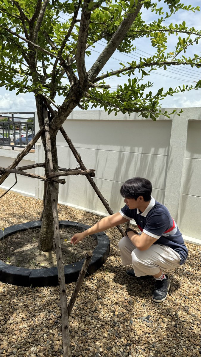 antanninwza007 tweet media