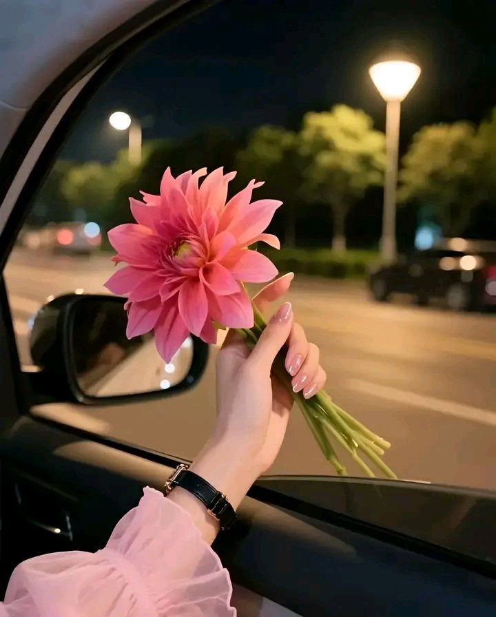 "تَمْشِي بِهُدُوءٍ
 كَأَنَّ اللَّيْلَ يُنِيرُ لَهَا الطَّرِيقَ، 
وَفِي نَظْرَتِهَا يَسْكُنُ كِبْرُ القَمَرِ
 وَعِزَّةُ النُّجُومِ." 🩷🌿