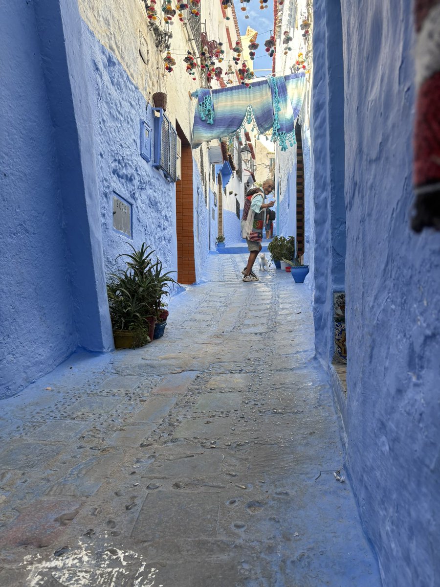 青い町のネッコとオッチャン