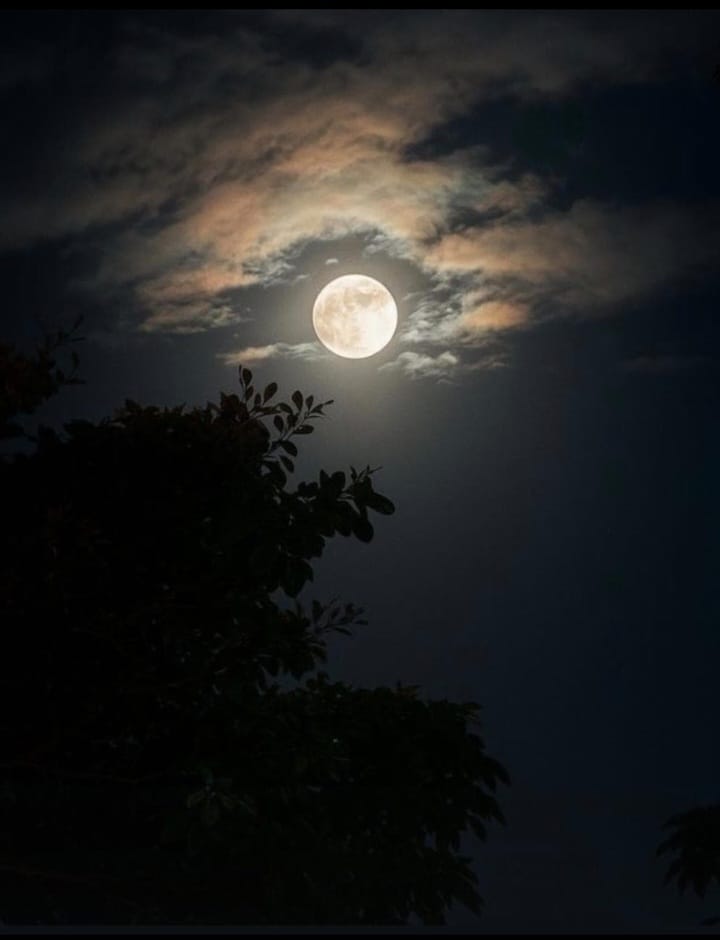 من العناق الأوّل
من مرحبًا الأولى
ومن سيجارنا المشترك الأوّل.
كيف أنام وحيدًا ليلًا
وأنت تستلُّ ظِلّك سيفًا
هاجمًا على حلمي لتقتلني بالحنين 
#مسا_النور