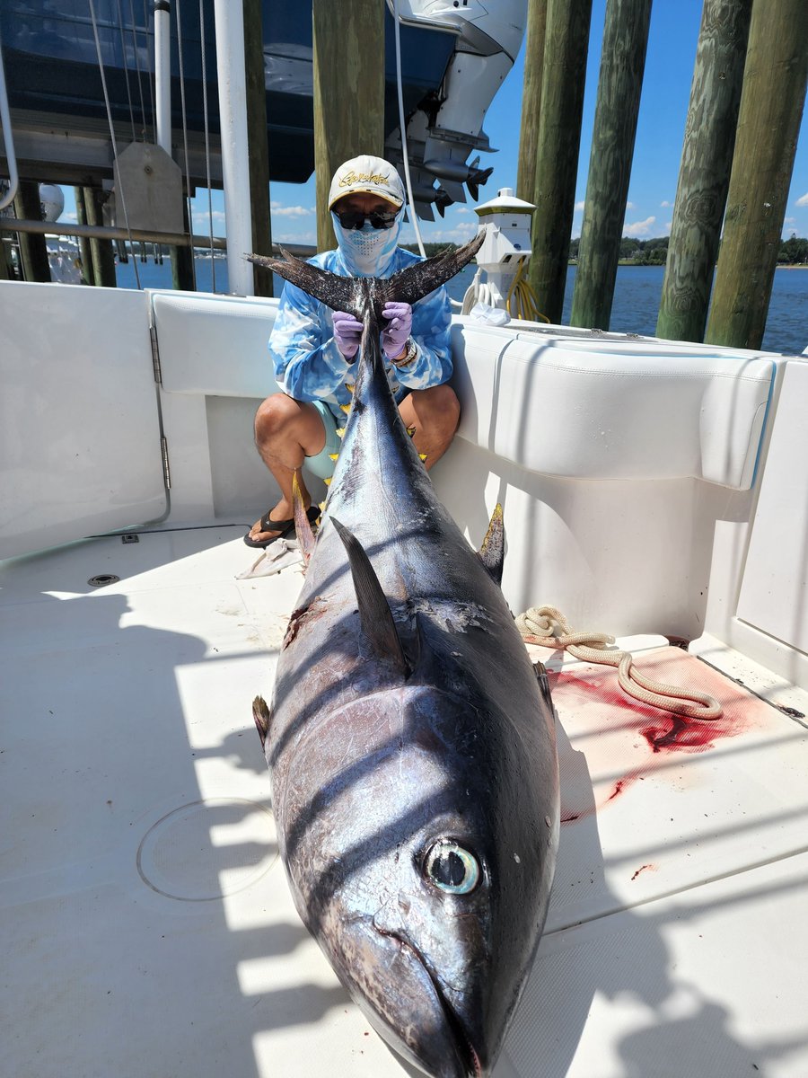 Tested on the water. Proven results. Bluewing gear built for moments like these 
#Bluewing #fishing #sportfishing #offshore #tuna #fishingtackle