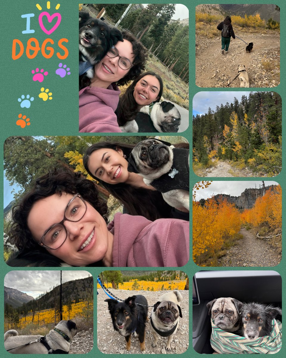 MrsT106's tweet image. Started cute, ended chaotic. 
😂⛈️
Mt. Charleston gave us fall colors and hail drama, but Lois, Ca$h, and Rocky made it the best kind of adventure. 🐾🍂
#DogLife #AdventureDogs #MountainMayhem